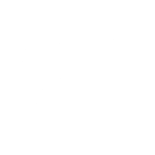 Ditzaridoo Fotografie